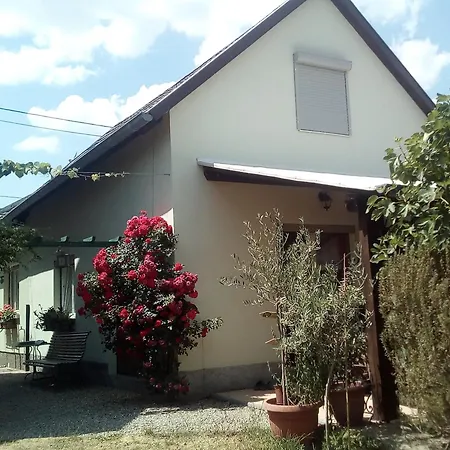 Maison Au Coeur Du Village Dorlisheim