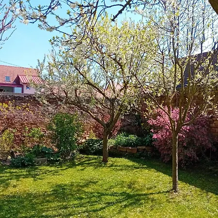 Maison Au Coeur Du Village *